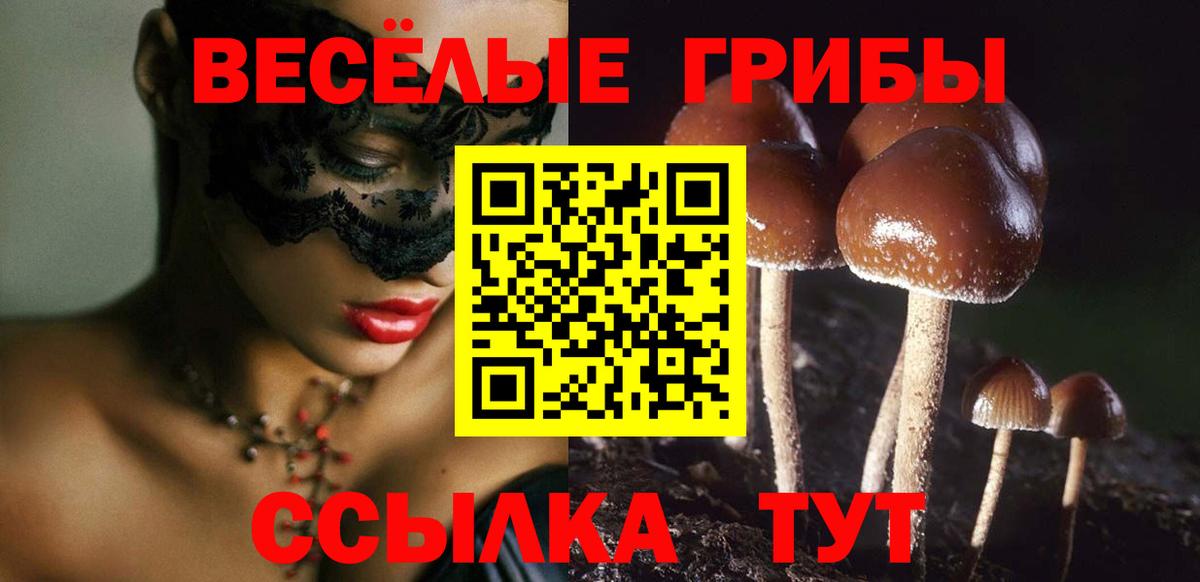 Псилоцибиновые грибы MAGIC MUSHROOMS Касимов